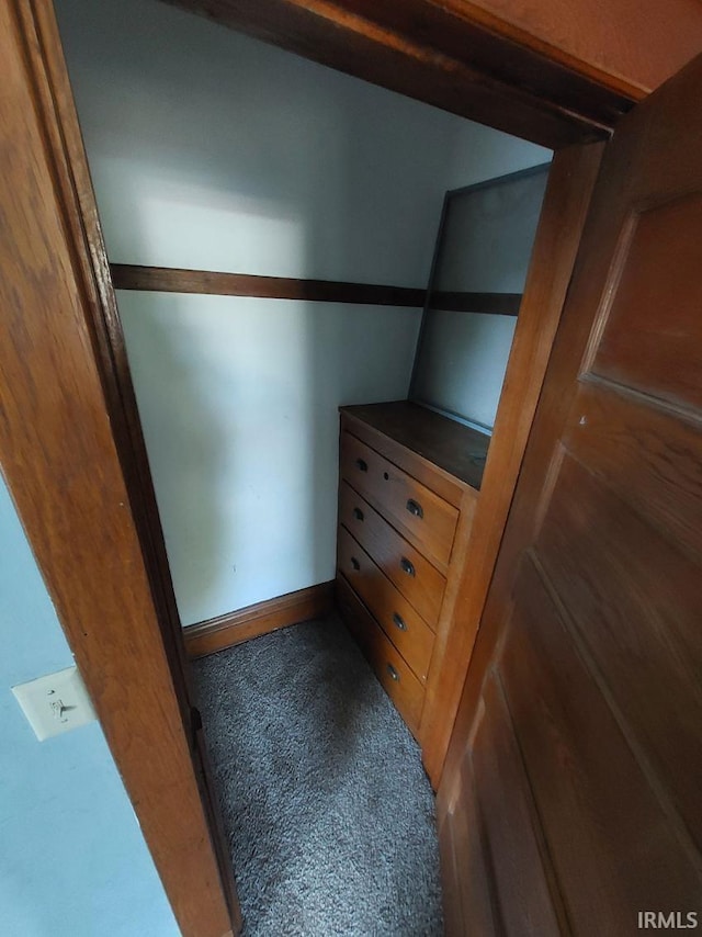 walk in closet featuring carpet flooring