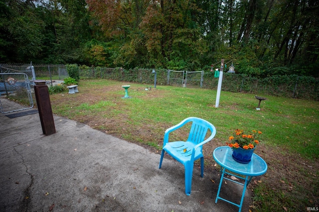 view of yard with a patio