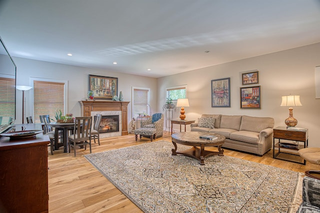 living room with a premium fireplace and light hardwood / wood-style flooring