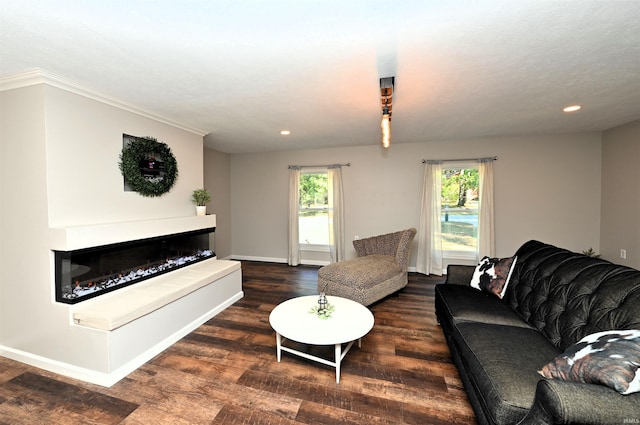 living room featuring ornamental molding and dark wood-type flooring