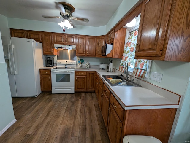 kitchen featuring ceiling fan, dark hardwood / wood-style floors, sink, and white appliances