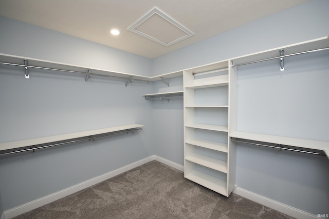 spacious closet featuring dark carpet