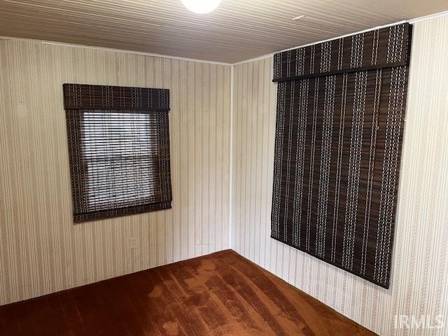 empty room featuring wood-type flooring