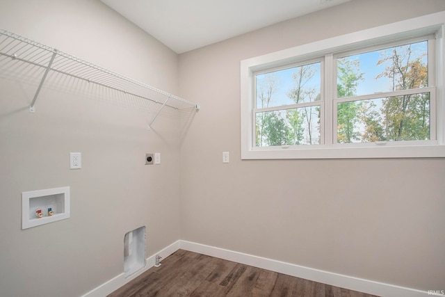 washroom with hookup for a washing machine, electric dryer hookup, dark hardwood / wood-style flooring, and a wealth of natural light