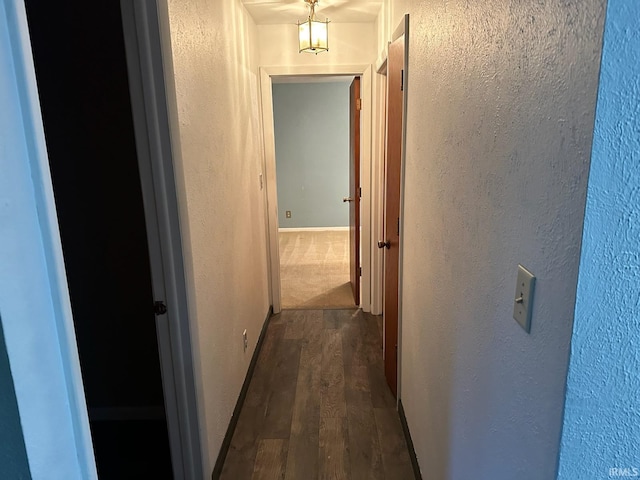 corridor with dark hardwood / wood-style flooring