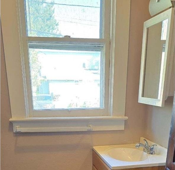 bathroom with vanity and plenty of natural light