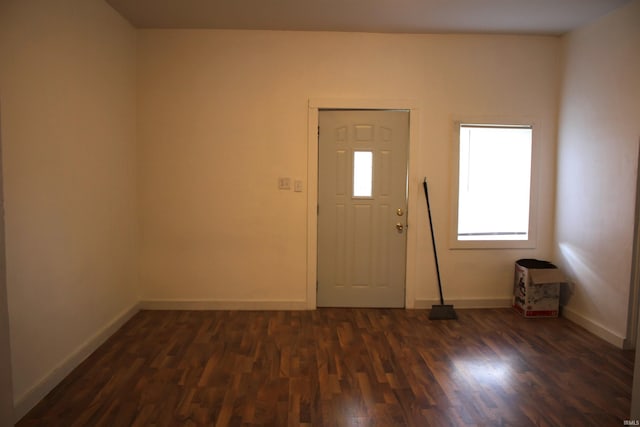 entrance foyer with dark wood-type flooring