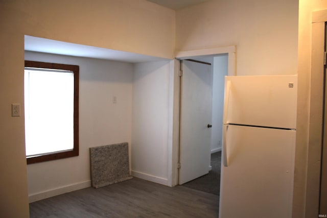 kitchen featuring dark hardwood / wood-style floors and white fridge