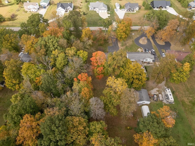 bird's eye view