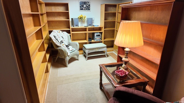 sitting room with carpet floors