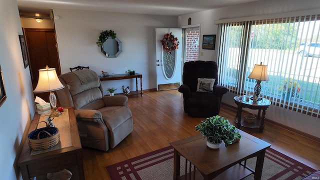 living room with wood-type flooring