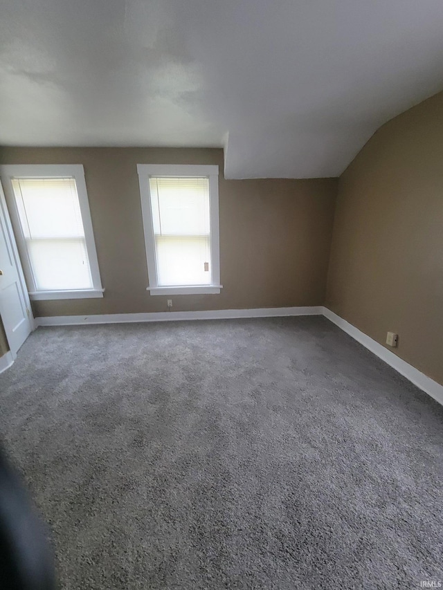 bonus room featuring carpet floors and vaulted ceiling