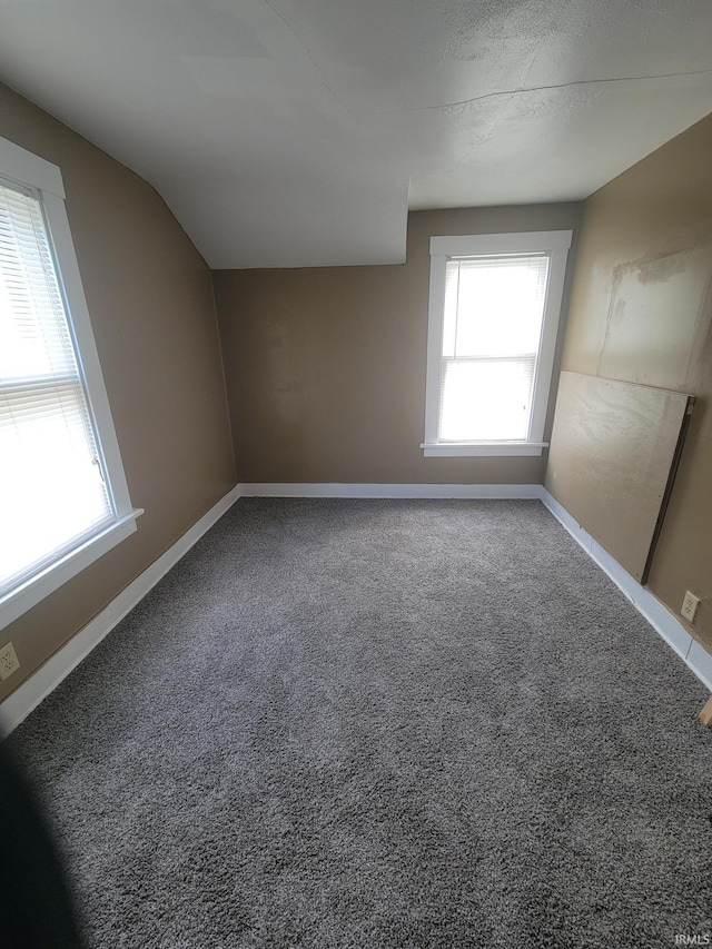 additional living space featuring a textured ceiling, lofted ceiling, and carpet