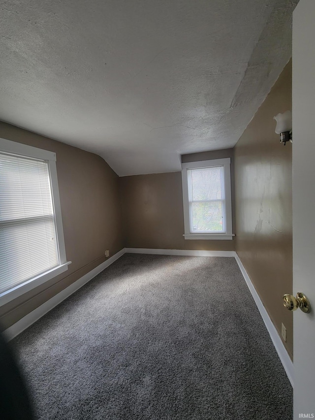 spare room with a textured ceiling, lofted ceiling, and carpet