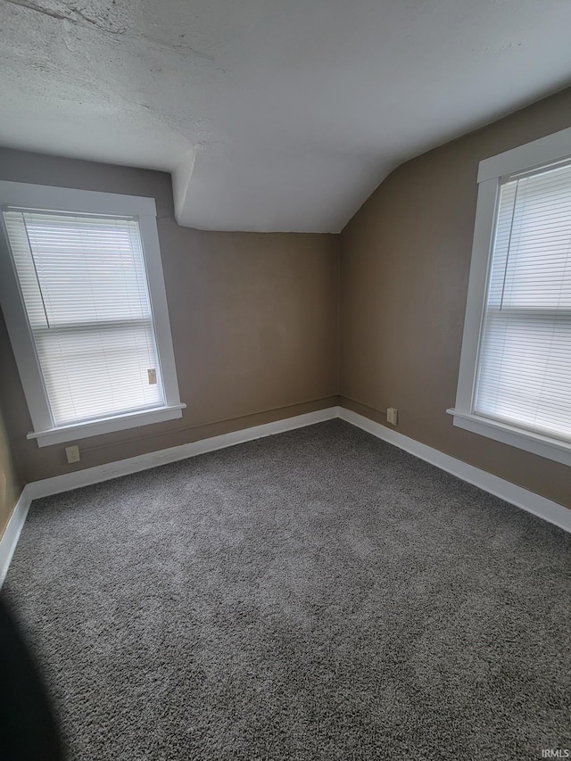 bonus room featuring a textured ceiling, lofted ceiling, carpet, and a healthy amount of sunlight