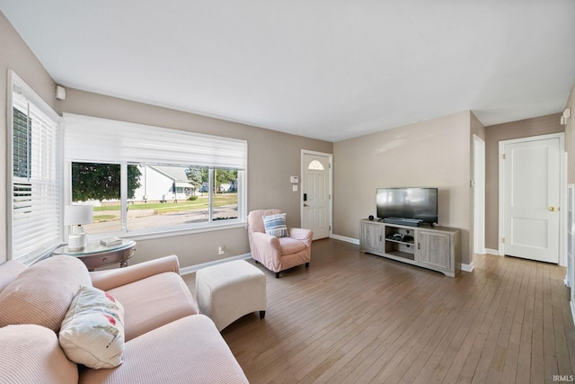 living room featuring hardwood / wood-style floors