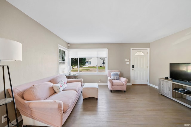 living room with hardwood / wood-style flooring