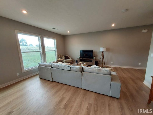 living room with light wood-type flooring