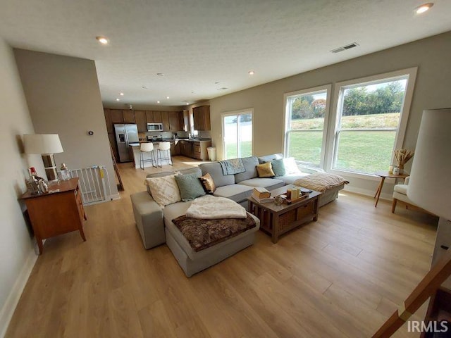 living room featuring light wood-type flooring