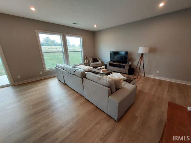 living room featuring light hardwood / wood-style flooring