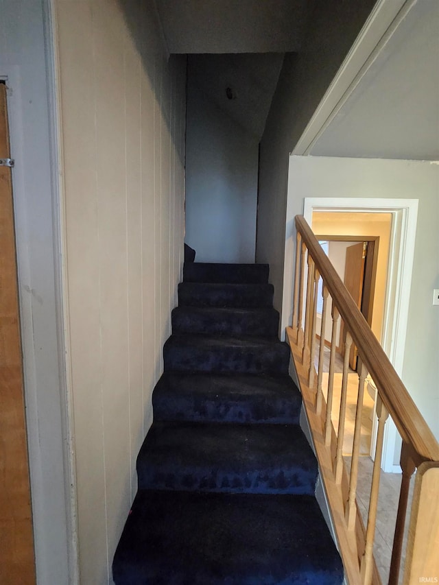 stairs with carpet flooring