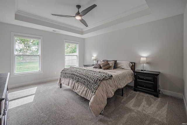 carpeted bedroom with ceiling fan, multiple windows, and a raised ceiling