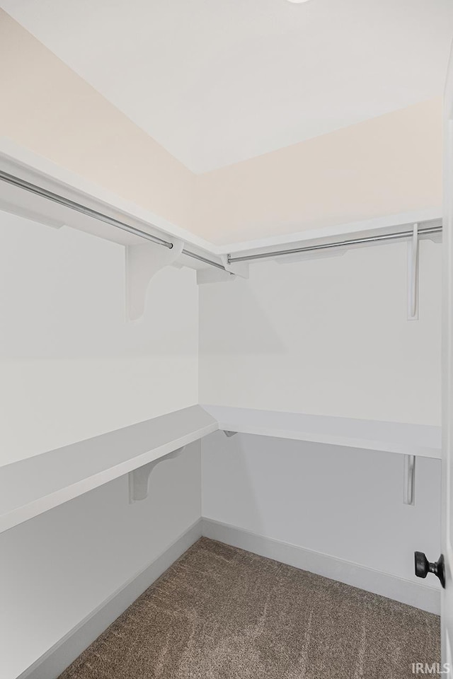 1916 Newbury Cir, Goshen, IN 46526 - walk in closet featuring dark colored carpet