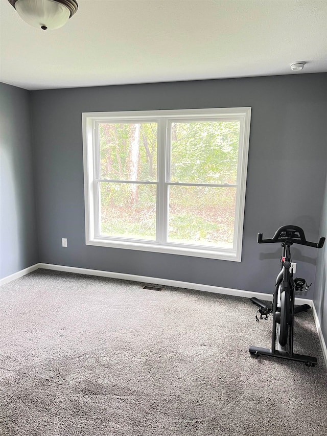 workout area with carpet flooring