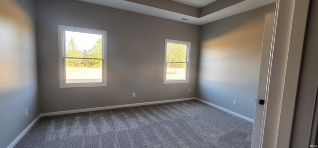 empty room featuring carpet floors