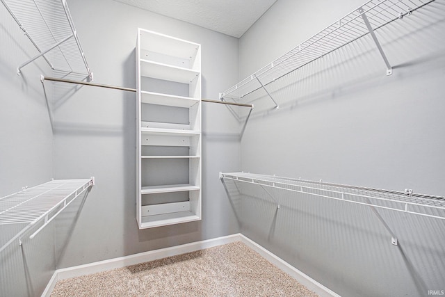 walk in closet featuring carpet flooring