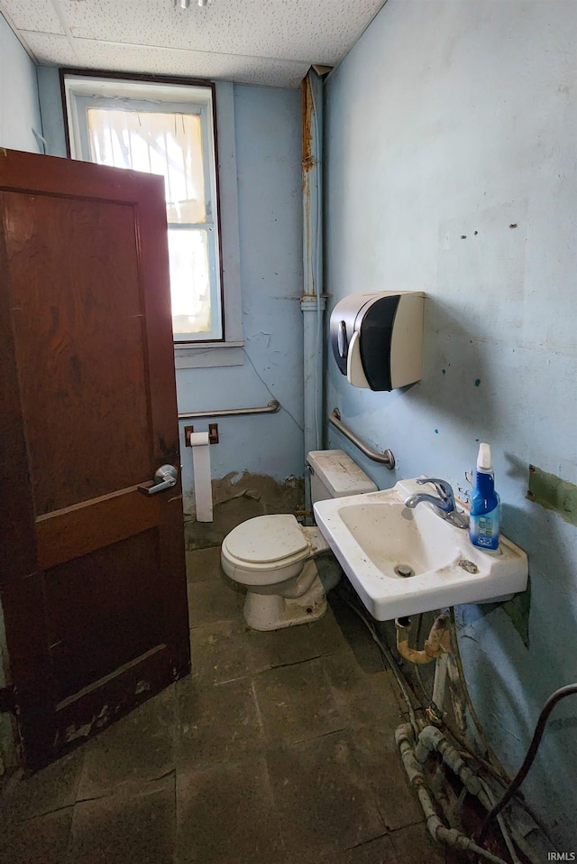 bathroom with sink, toilet, and a drop ceiling