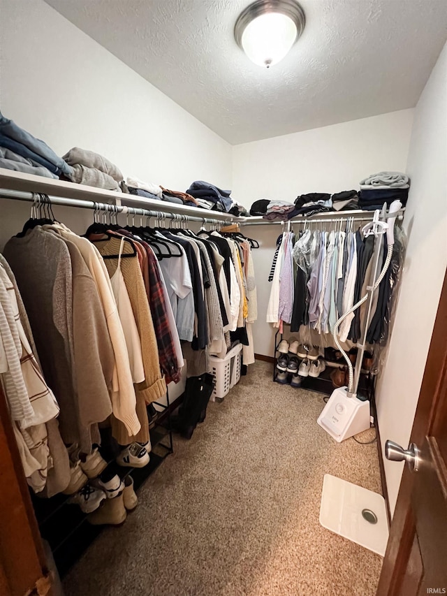 walk in closet with carpet