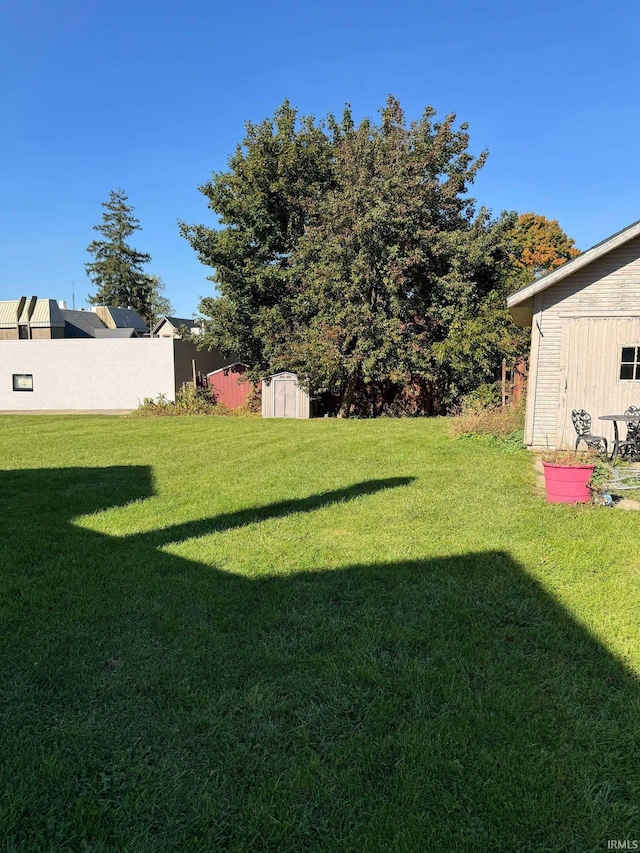 view of yard with a shed