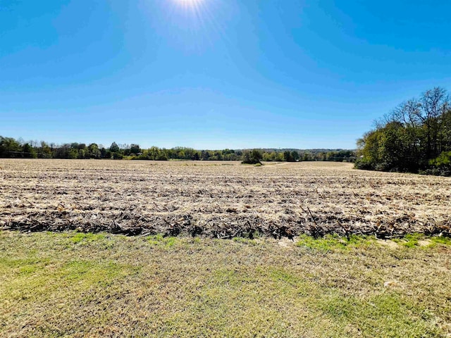 view of yard featuring a rural view