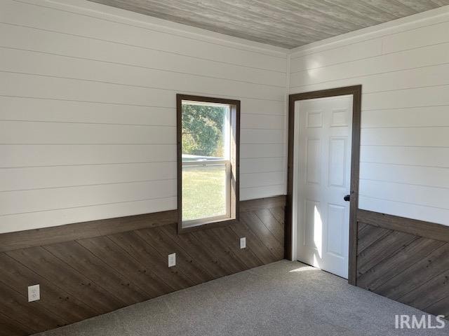 spare room with wooden walls and dark carpet