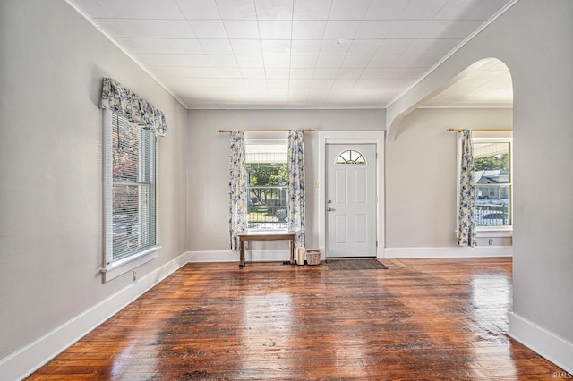 foyer entrance with a healthy amount of sunlight and dark hardwood / wood-style floors