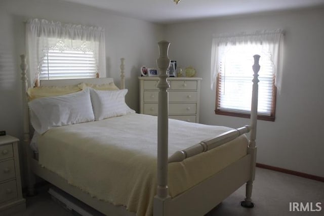 bedroom featuring carpet