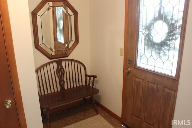 entryway with a healthy amount of sunlight