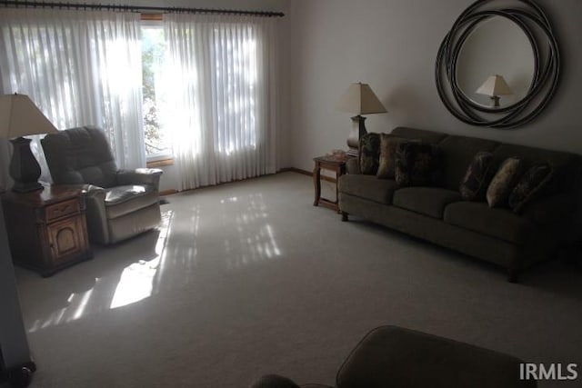 living room featuring light carpet