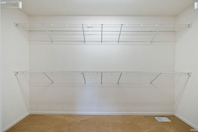 spacious closet with carpet flooring