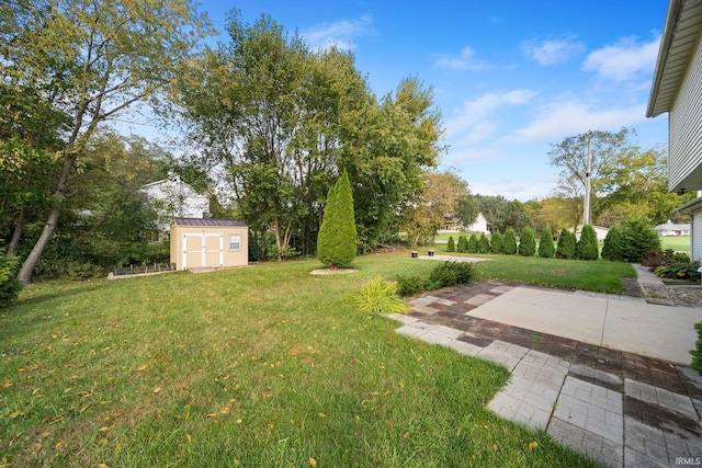 view of yard featuring a patio area and a shed