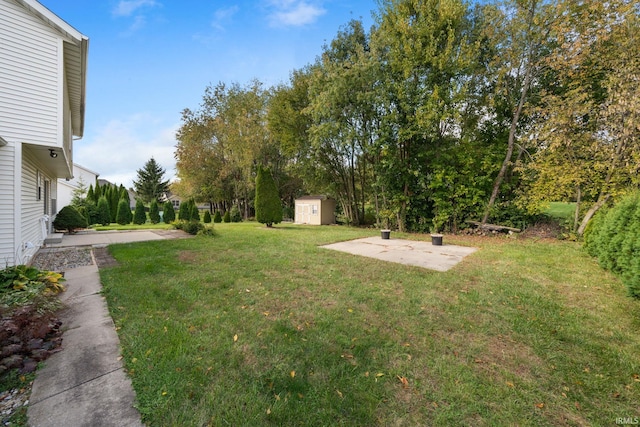 view of yard with a patio area and a storage unit