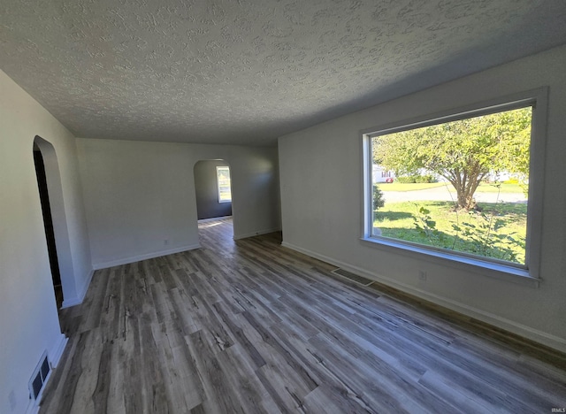 empty room featuring a wealth of natural light, hardwood / wood-style floors, and a textured ceiling