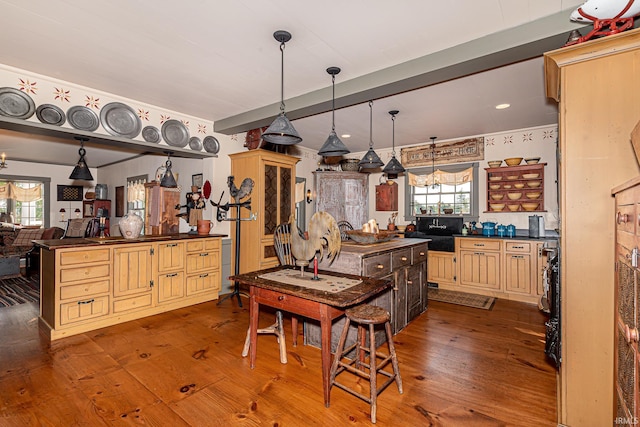 kitchen featuring a wealth of natural light, hardwood / wood-style floors, and decorative light fixtures