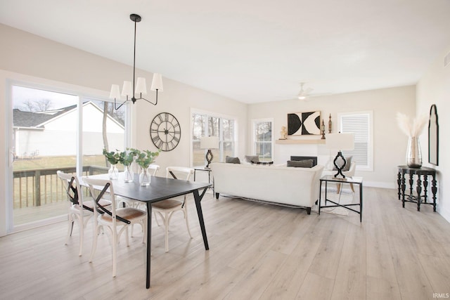 dining area featuring light hardwood / wood-style flooring, ceiling fan with notable chandelier, and plenty of natural light