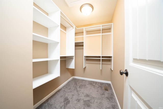 spacious closet featuring light colored carpet