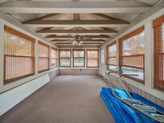 unfurnished sunroom with a wealth of natural light, vaulted ceiling with beams, wooden ceiling, and ceiling fan