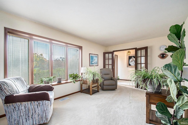 sitting room with carpet