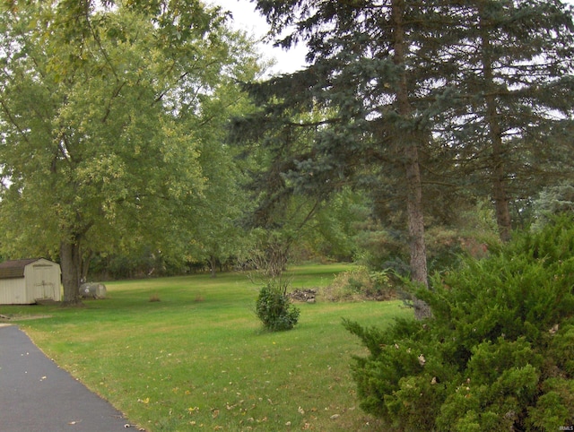 view of yard with a storage shed