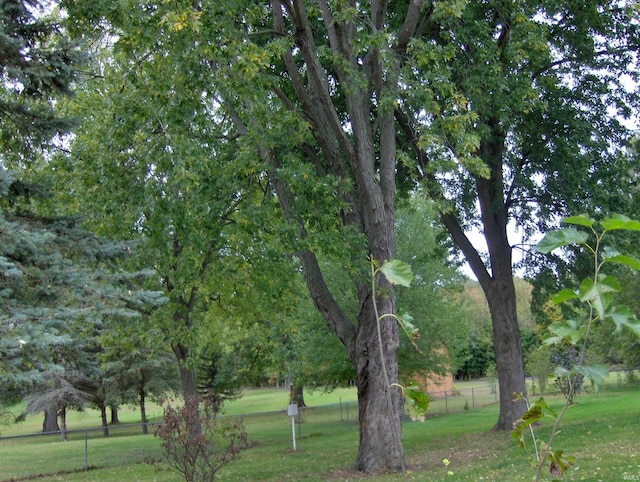 view of property's community featuring a lawn